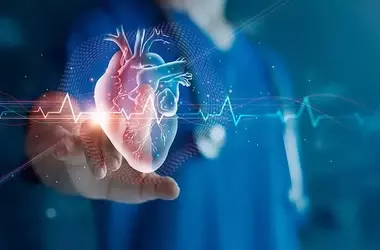 Understanding the Biological Bridge Between Mental Health and Cardiovascular Disease