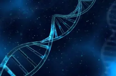 Genetic Factors in Military Elite Resilience