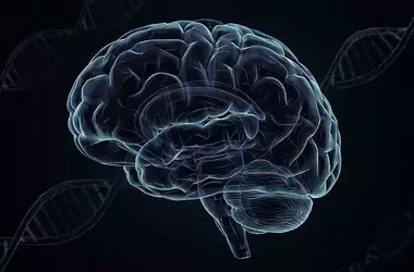 Atypical Depression Identified as Distinct Biological Subtype with Implications for Treatment