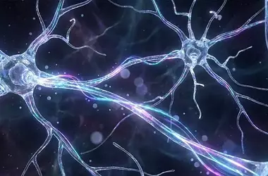 Psilocybin's Lasting Antidepressant Effects Linked to Neuronal Electrical Changes