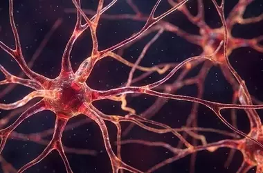 Brain Connectivity Issues Discovered in Long COVID and ME/CFS Patients During Mental Exertion