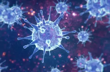 Genetic Predisposition Links Cleared Viral Infections to ALS-like Symptoms in Mouse Model