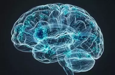 Mapping the Brain's Intelligence Architecture