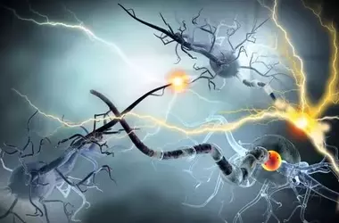 Epilessia: Le Nuove Frontiere Terapeutiche e l'Approccio Olistico alla Vita del Paziente