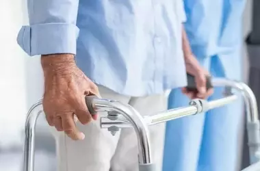 Multiple Sclerosis: Pathophysiology, Clinical Features, and Contemporary Understanding