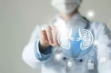 Chronic Kidney Disease: A Neutral Scientific Overview of Definition, Mechanisms