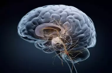 Brain Signal Associated with OCD Compulsions Identified