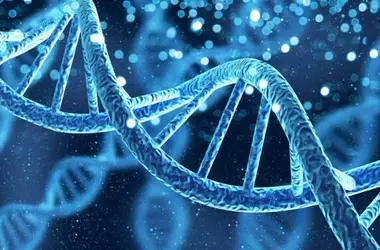 Genetic Predisposition to Anhedonia and Brain's Reward System