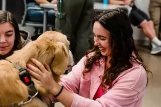 Therapy Dogs: Petting Locations Don't Impact Well-being Boost