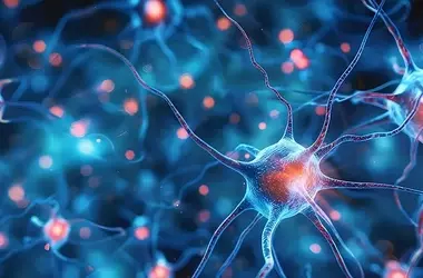 Liver-Brain Communication Mimics Exercise Benefits in Aging and Alzheimer's