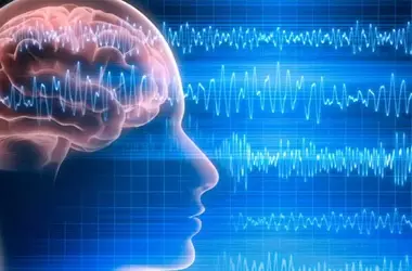 Grandiose Narcissism Linked to Reduced Neural Error Sensitivity