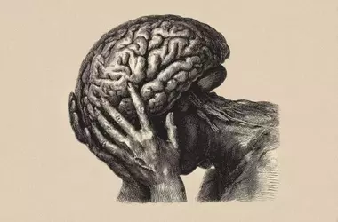 The Brain's Interplay: Stress and Itch Perception