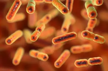 Scoperta Rivoluzionaria sulla Stitichezza Cronica: Il Ruolo Chiave dei Batteri Intestinali e Nuove Prospettive Terapeutiche