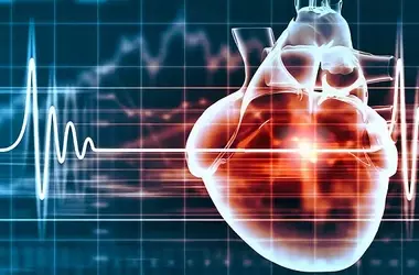 Heartbeat and Perception: New Insights on Brain-Body Dialogue