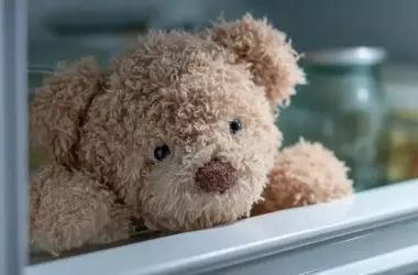 Mitos y realidades sobre la limpieza de peluches para combatir los ácaros