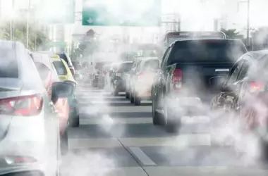 Impatto Ambientale sulla Salute Cardiovascolare: Un Allarme Globale