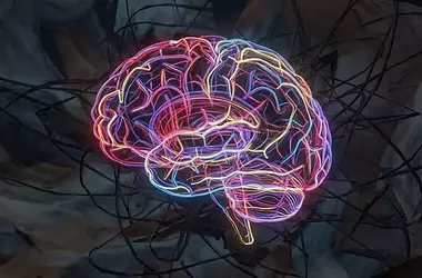 Neuroscientific Study Reveals Link Between Visual Brain Network Hyperactivity and Social Anxiety