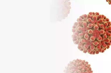 Hepatitis B: A Neutral Scientific Overview of a Viral Liver Infection