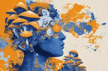 Psychedelic-like Effects of Psilocybin Therapy: The Next Generation