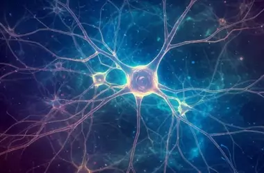 Blocking a Common Brain Gas Reverses Autism-Like Traits in Mice