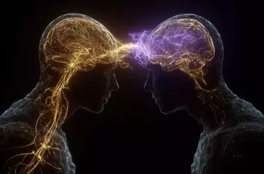 The Brain's Real-Time Social Assessment Mechanism Unveiled