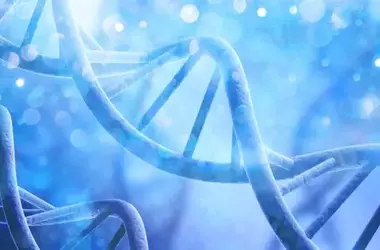 Genetic Predisposition to Impulsivity Influences Life Choices