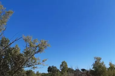 España: Días soleados y temperaturas en alza el 12 de marzo