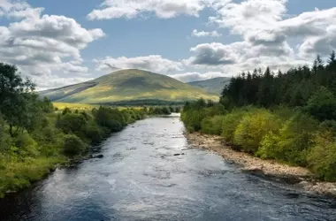 Día Internacional de la Acción por los Ríos 2026: Proteger el agua es proteger la vida