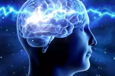 Cardio Workouts and Memory: Unveiling the Brain's Ripples