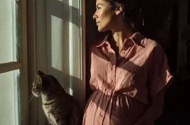 Mascotas y Embarazo: Desmitificando la Toxoplasmosis Felina