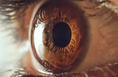 ADHD and Social Attention: Insights into Face Processing