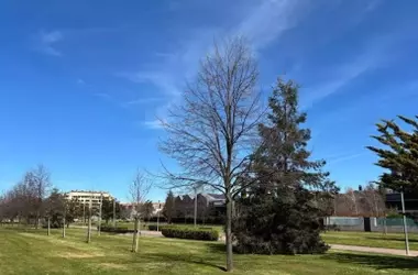 Pronóstico Climático Nacional: Temperaturas en Ascenso y Estabilidad Atmosférica Generalizada