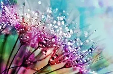 Pronóstico de una Primavera Cálida en España Precedida por un Invierno Inusualmente Húmedo