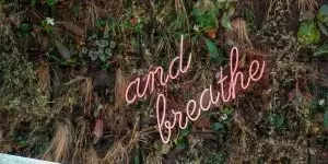 Mastering Emotional Regulation: A Comprehensive Guide to Strategic Intervention