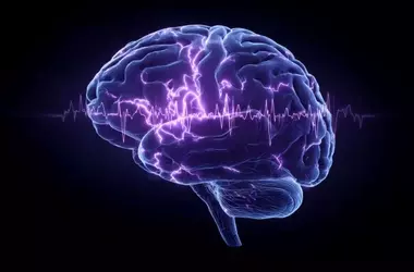 The Brain's Sleep-Wake Cycle and ADHD-Related Attention Lapses