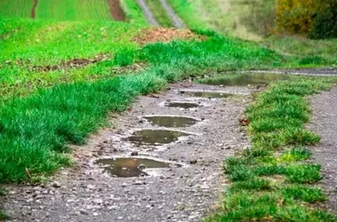 Galicia lidera la conservación ambiental con una ley pionera para la recuperación de ecosistemas