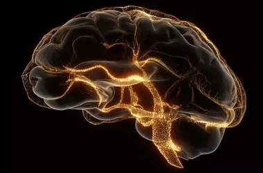 Gene Links Schizophrenia to Impaired Decision-Making