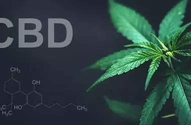 New Study Explores CBD's Impact on Autistic Children's Anxiety and Parental Stress
