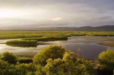 Tablas de Daimiel Renacen: Humedal Recupera su Esplendor Tras Intensas Lluvias
