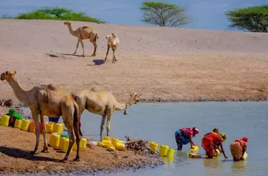 Día Mundial del Agua 2026: Escasez y Desigualdad en el Acceso Hídrico