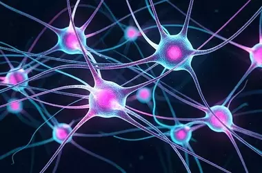 New Study Explores Psilocybin's Role in Brain Plasticity and Antidepressant Effects