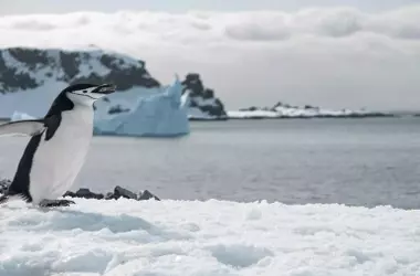 Descubren Red Hídrica Subterránea Inesperada en la Antártida con Conexión Oceánica
