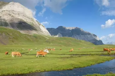 La ganadería ecológica en los Pirineos como escudo contra el fuego y el cambio climático