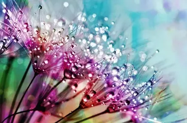 Fuertes lluvias y viento azotarán España: AEMET emite alertas por temporal