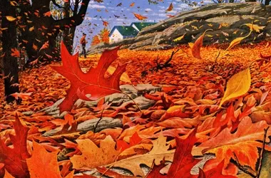 Connecting with Nature: A Runner's Guide to Awe and Well-being