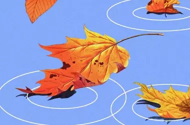 The Allure of Autumn: A Symphony of Scents and Emotions