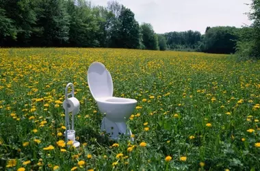 Preventing Travel Constipation: The Three Essential F's