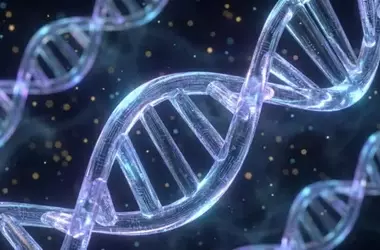 Meat Consumption and Alzheimer's Risk: A Genetic Link