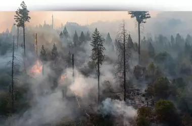 Canarias implementa tecnología robótica avanzada para la prevención de incendios forestales y mejora de la seguridad