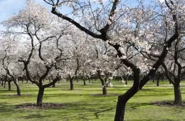 Contrastes climáticos en España: Norte lluvioso y sur cálido al cierre de marzo